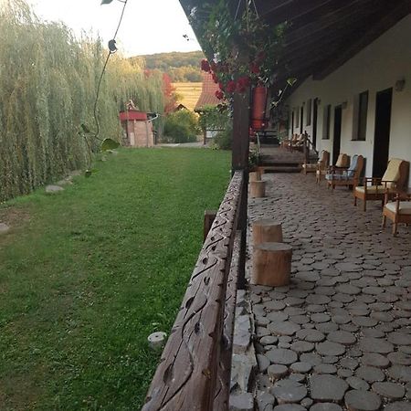 Vila Sura Razoare Сигишоара Экстерьер фото
