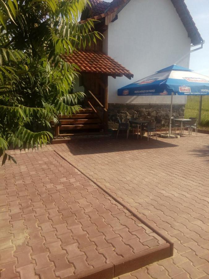 Vila Sura Razoare Сигишоара Экстерьер фото
