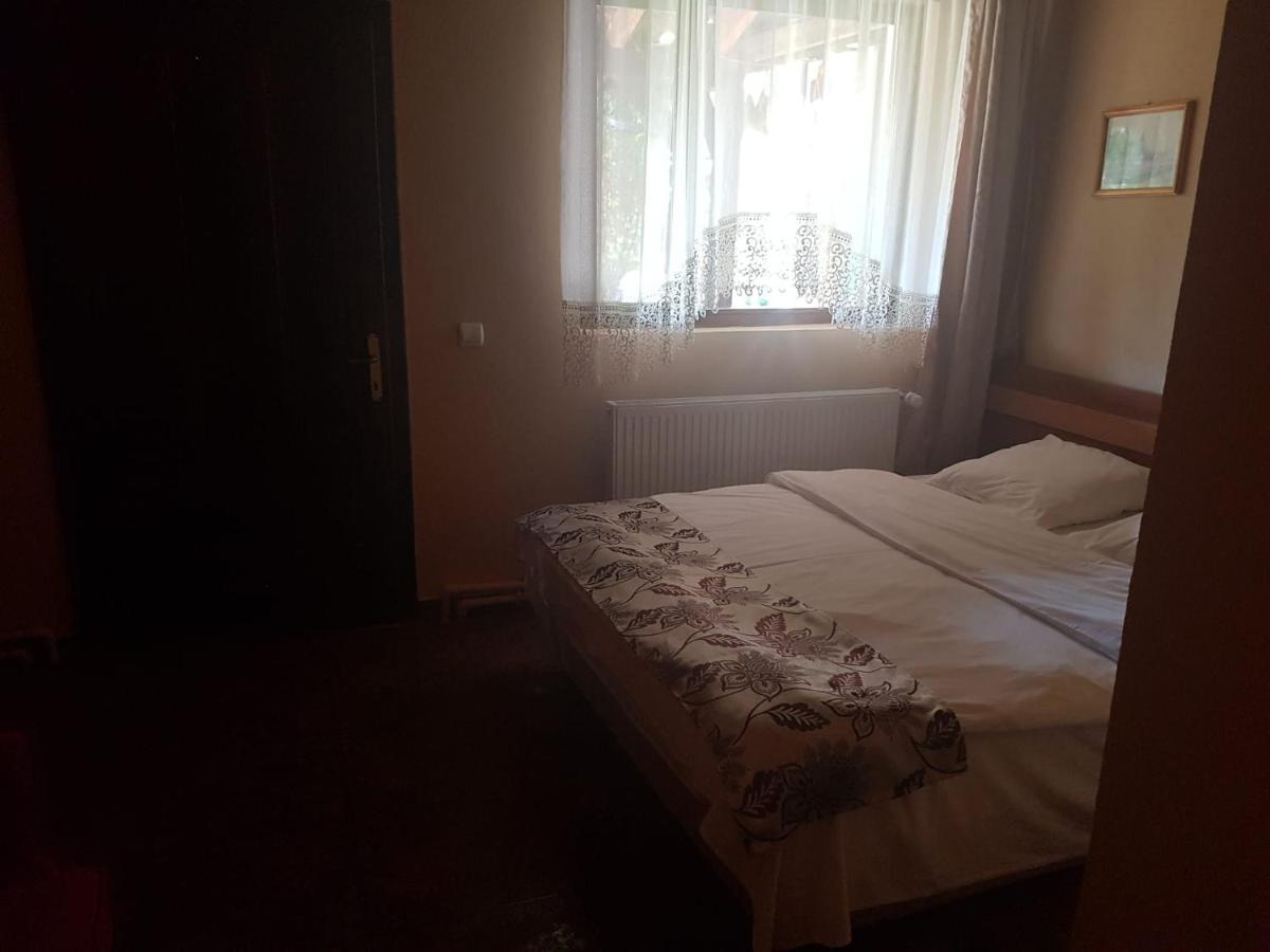 Vila Sura Razoare Сигишоара Экстерьер фото