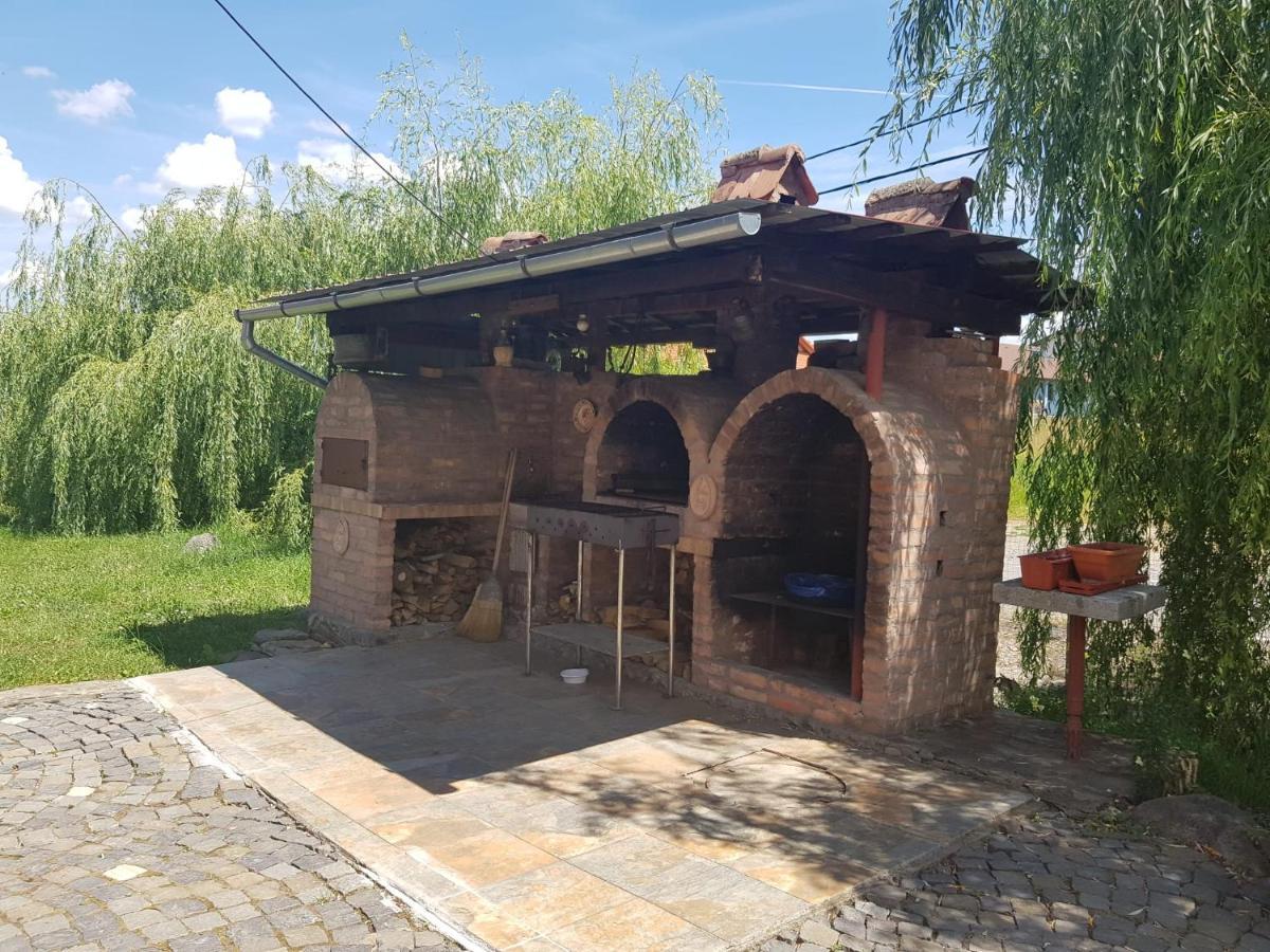 Vila Sura Razoare Сигишоара Экстерьер фото