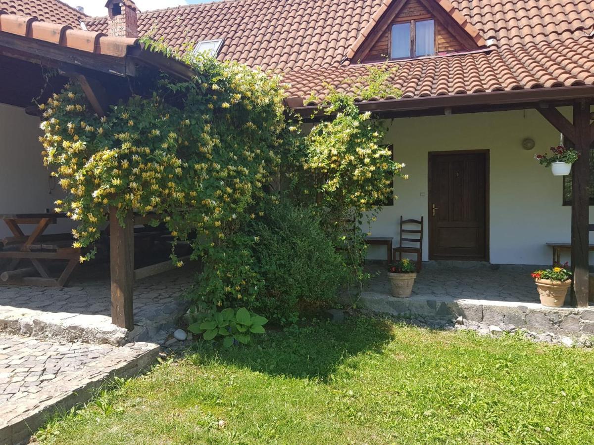 Vila Sura Razoare Сигишоара Экстерьер фото