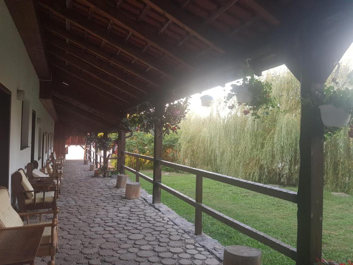 Vila Sura Razoare Сигишоара Экстерьер фото