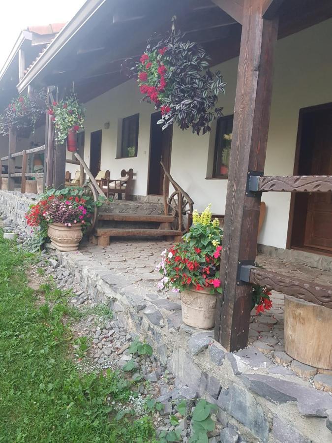 Vila Sura Razoare Сигишоара Экстерьер фото
