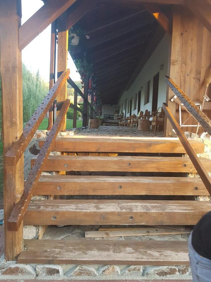 Vila Sura Razoare Сигишоара Экстерьер фото