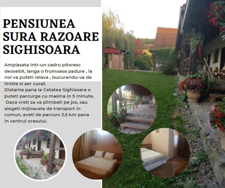 Vila Sura Razoare Сигишоара Экстерьер фото