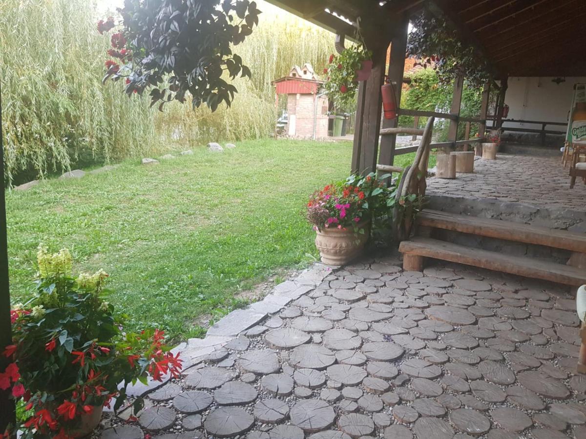 Vila Sura Razoare Сигишоара Экстерьер фото